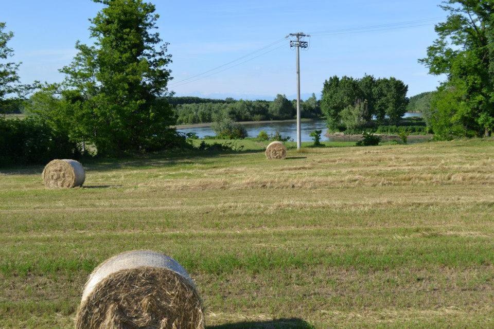 Agriturismo Il Campagnino Кремона Экстерьер фото