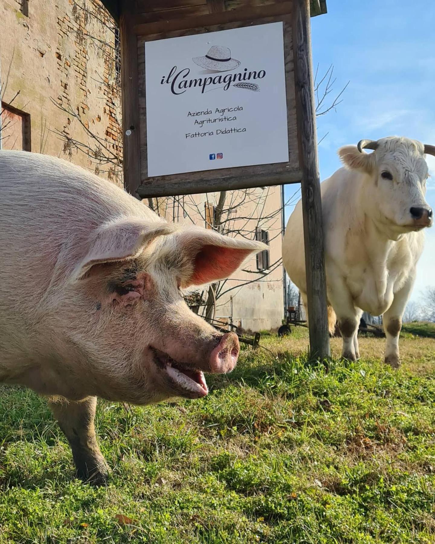Agriturismo Il Campagnino Кремона Экстерьер фото