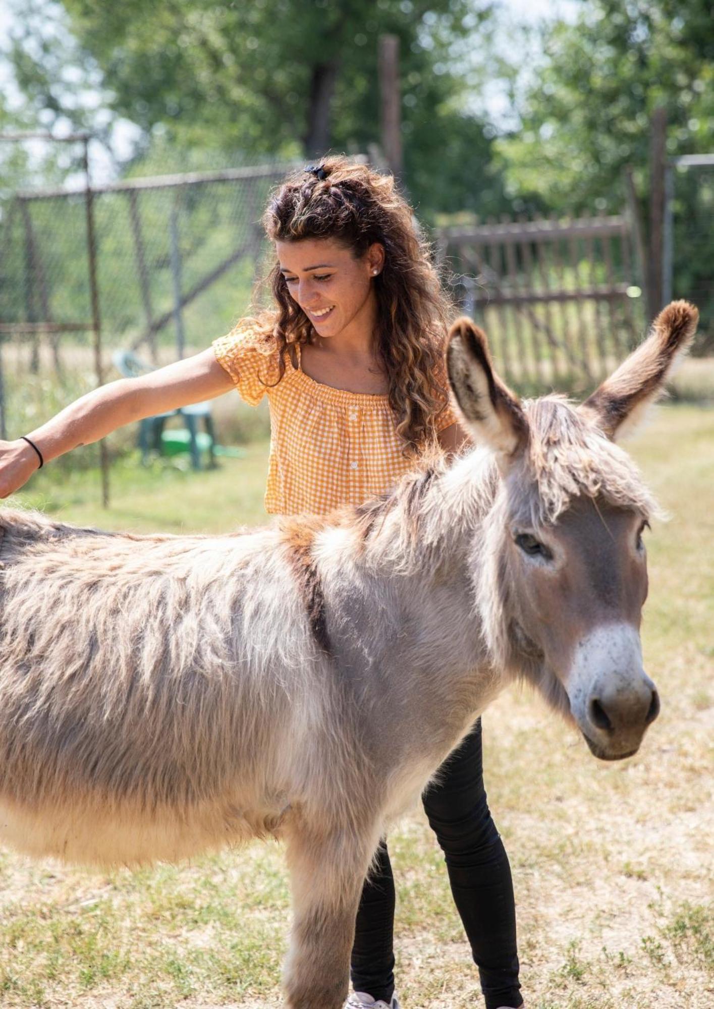 Agriturismo Il Campagnino Кремона Экстерьер фото